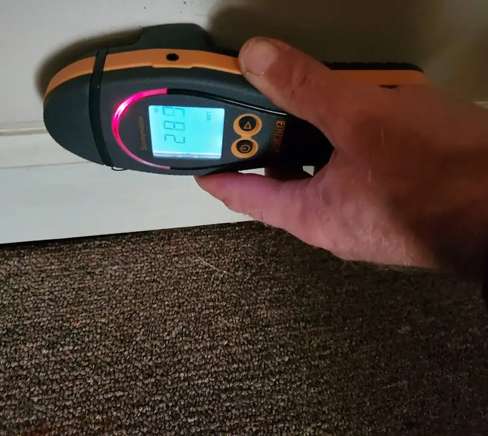 Moisture detection at baseboard during Sewage Cleanup & Sanitation in Ellicott